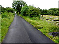 Stralongford Road, Derrymacanna