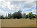 Millennium Park, Mile End