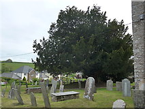 SS5937 : St Peter, Shirwell: churchyard (viii) by Basher Eyre