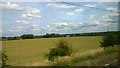 Fields outside Weston, from the railway