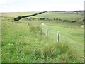 Looking towards Great Vintcombe