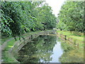 The New River north of Rowley Gardens, N4