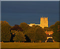 TA0339 : Beverley Minster in the Low Evening Sun by Andy Beecroft