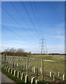 SE4151 : Pylon line, Ingmanthorpe Hill by Derek Harper