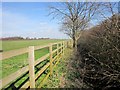 Field boundary, Ingmanthorpe