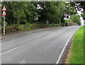 Humpback bridge and road narrows signs, Lamphey