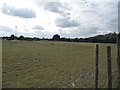 Field in Welham Green