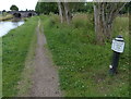 Trent & Mersey Canal Milepost near Malkin