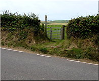 SS0198 : Kissing gate to a public footpath near Freshwater East by Jaggery