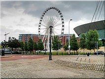 SJ3489 : The Liverpool Wheel by David Dixon