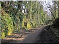 Harland Way on Quarry Hill