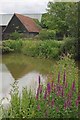 Pond at Little Rakefairs