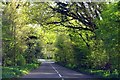 Charlbury Road entering Charlbury