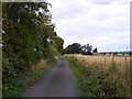 SO8393 : Seisdon Common Road by Gordon Griffiths