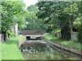 The New River south of Mattison Road, N4