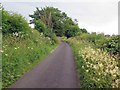 Minor road near Cowper Hill