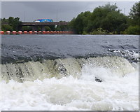 SK4631 : Sawley Weir on the River Trent by Mat Fascione