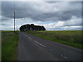 Country road near Hillhead Farm