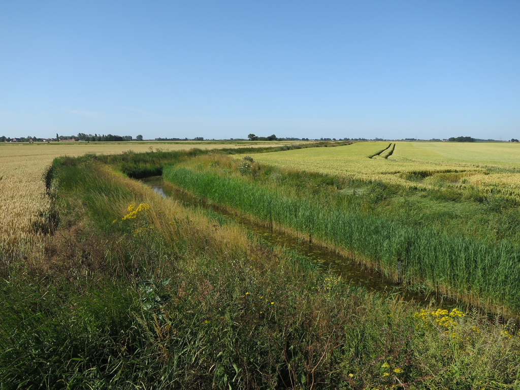 Downham Fen Drain © Hugh Venables cc-by-sa/2.0 :: Geograph Britain and ...