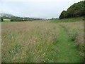 Public footpath to Pont Llangorwen