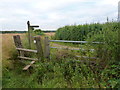 TQ2554 : Gate and stile north of Lovelands Lane by Ian Paterson