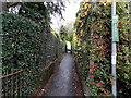 Public footpath between hedges, Weston Rhyn