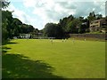 Cricket Match at Holmebridge