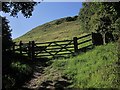 Gate onto Glastonbury Tor