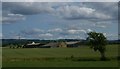 Looking across the brook toward Harlsey Grove