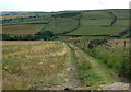 Farm track off Moor Lane