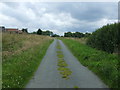 Ridge Lane near Brookridge Farm