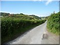 The road to Tal y Bont