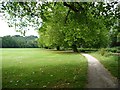 SU4828 : Tree-lined path, Palmer Field, Winchester by Christine Johnstone