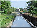 The New River by Chadwell Lane, N8 (4)