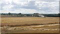 Harvesting barley