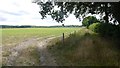 Field, Poynton Green