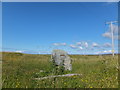 NM1553 : Standing stone by Breachacha by Alpin Stewart