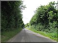 Road from North Lodge