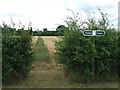 Footpath And Sign