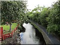 Montgomery Canal from Mill Lane Bridge