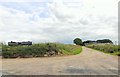 Access road to Wester Whyntie from B9139