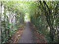 High Wycombe: Footpath in Cressex (2)