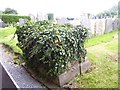 Bethlehem Chapel, Pwll Trap - old table tomb