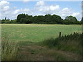 Farmland, Bracon Ash