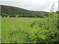 Grazing land near River Avon