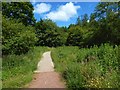 Path to Cochno Road