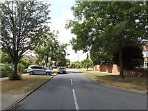 TM1745 : Borrowdale Avenue, Ipswich by Geographer