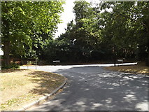 TM1745 : Borrowdale Avenue, Ipswich by Geographer