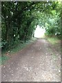 Byway near Geddington Chase