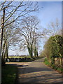 Lane past Conygree Cottages